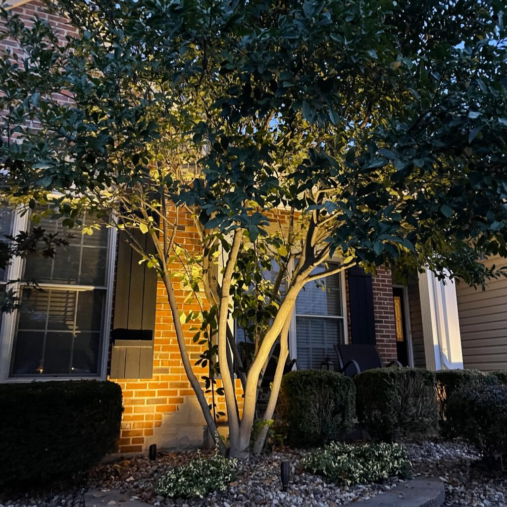 Chris_ Home Accent Lighting #4